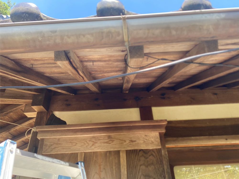 魚住町 スズメバチ アフター