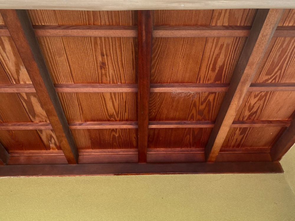 加古川市平岡町 集団のアシナガバチ駆除 アフター