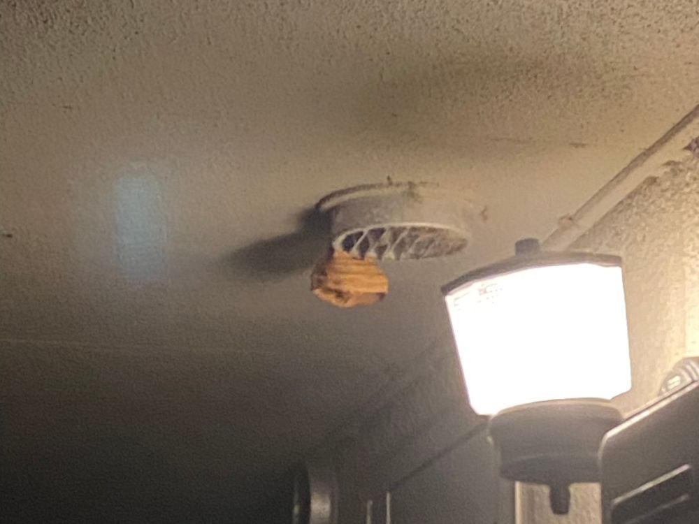 神戸市灘区高羽 廊下換気口のスズメバチ駆除 ビフォー