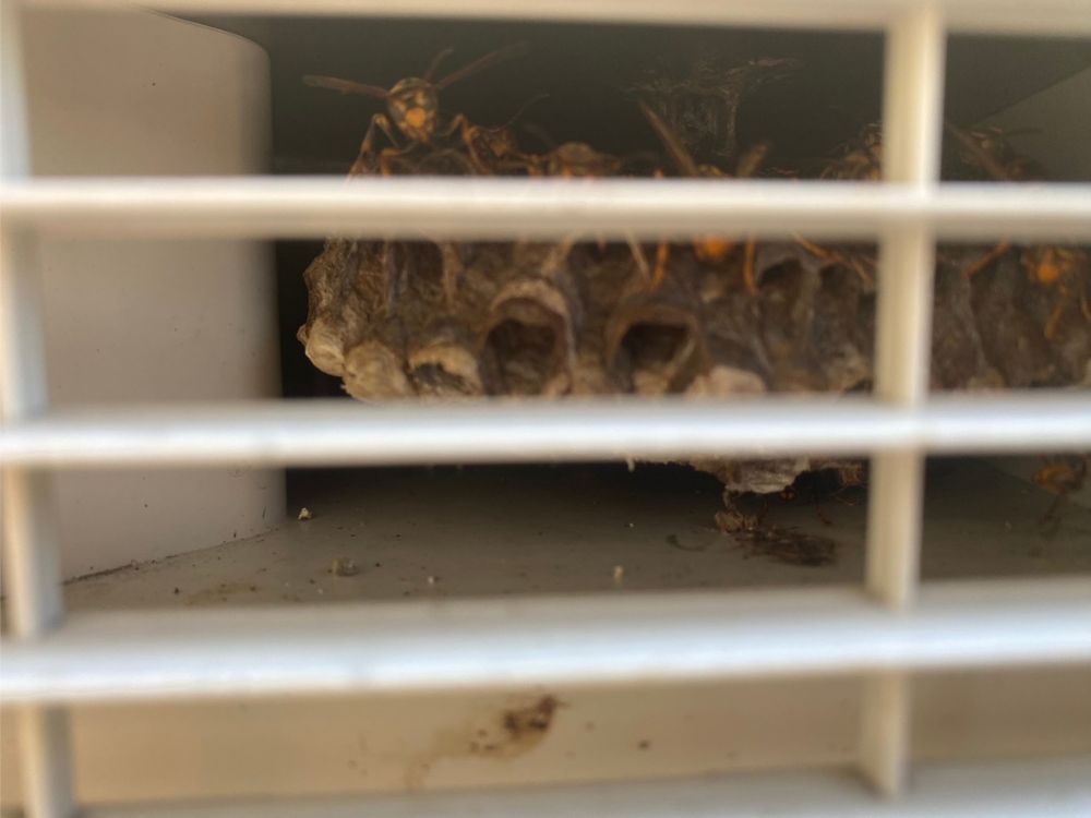 明石市西明石 マンション 室外機内のアシナガバチ駆除 ビフォー