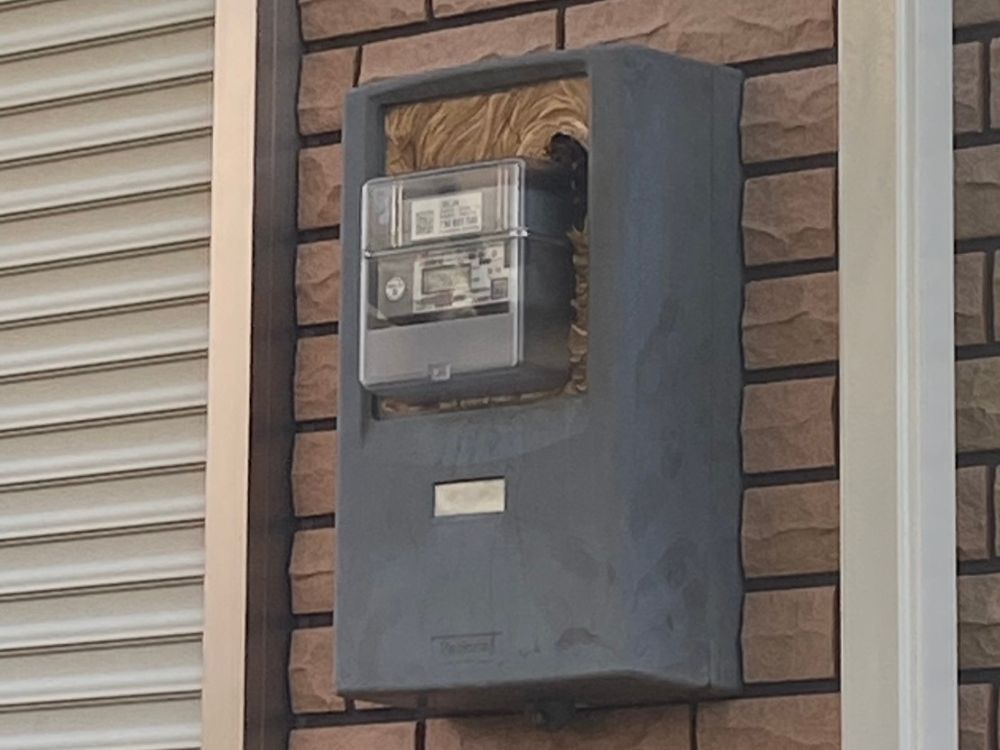 明石市松江 戸建て 電気メーターボックス内のスズメバチ駆除 ビフォー