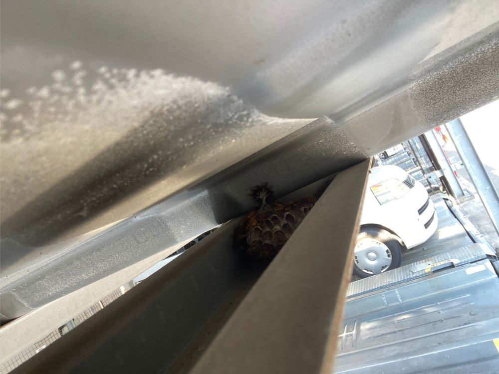 神戸市西区美賀多台 マンション 機械式駐車場のアシナガバチ駆除 ビフォー