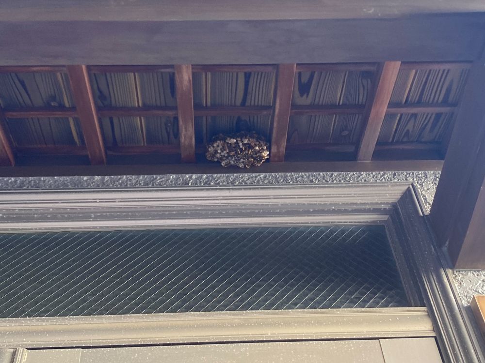 加古川市加古川町 軒下のアシナガバチ駆除　ビフォー