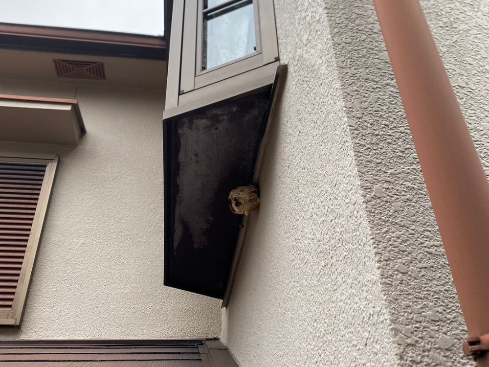 神戸市灘区篠原 出窓下のスズメバチ駆除 ビフォー