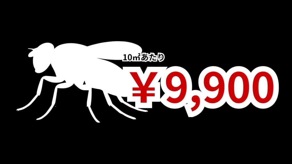 明石市のハエ・コバエ駆除料金｜種類・発生源に応じた作業目安と安心料金を公開
