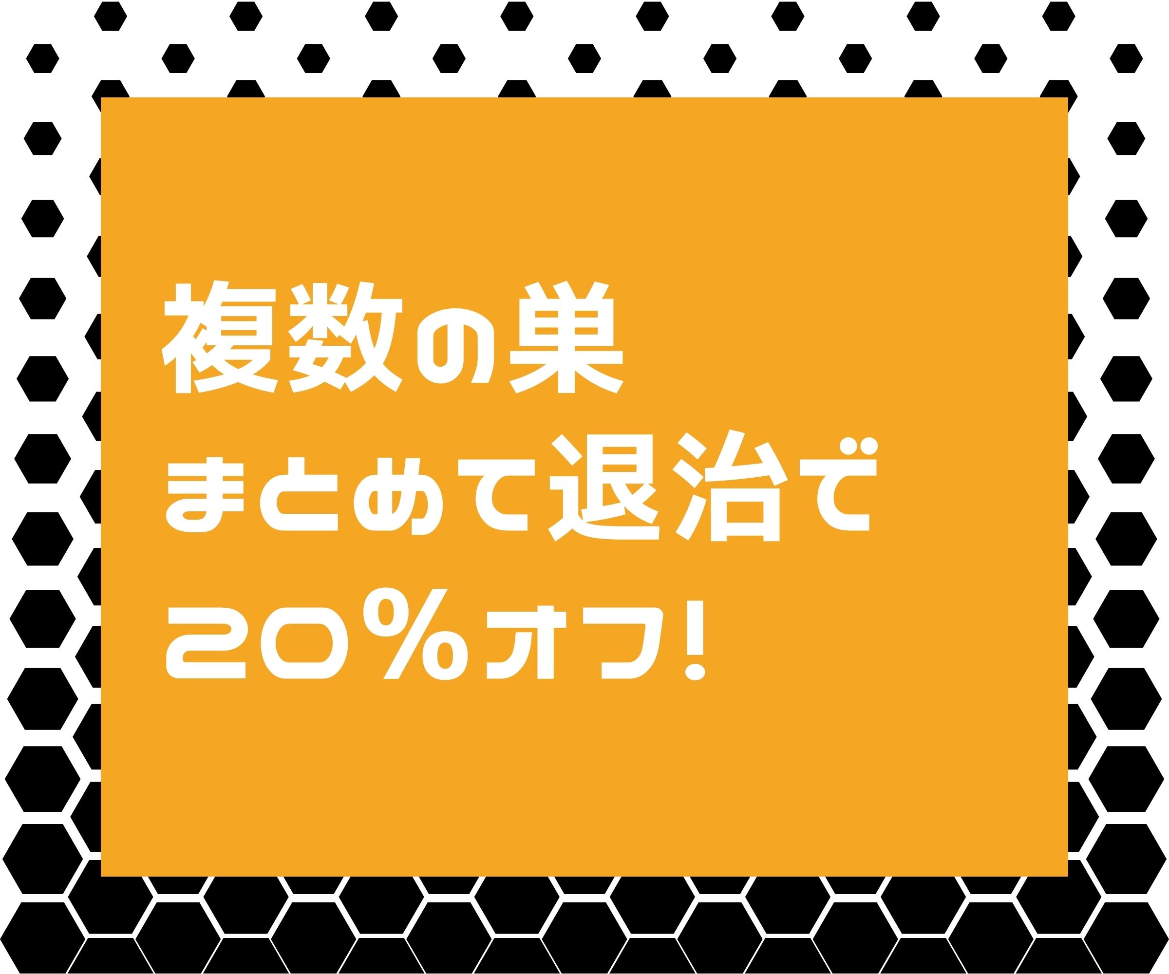 相生市では蜂の巣が複数ある場合はまとめて依頼で20％割引｜お得な蜂の巣駆除サービス