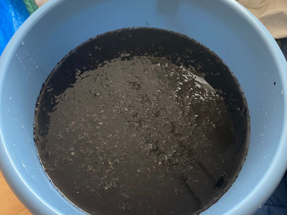 芦屋市浜芦屋町　お掃除機能付きタイプの分解洗浄　アフター