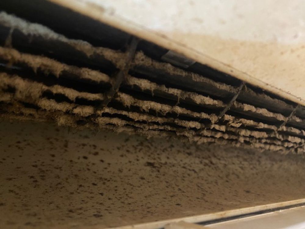 神戸市兵庫区大開通　通常タイプのエアコンクリーニング｜送風ファンのカビとホコリ　ビフォー