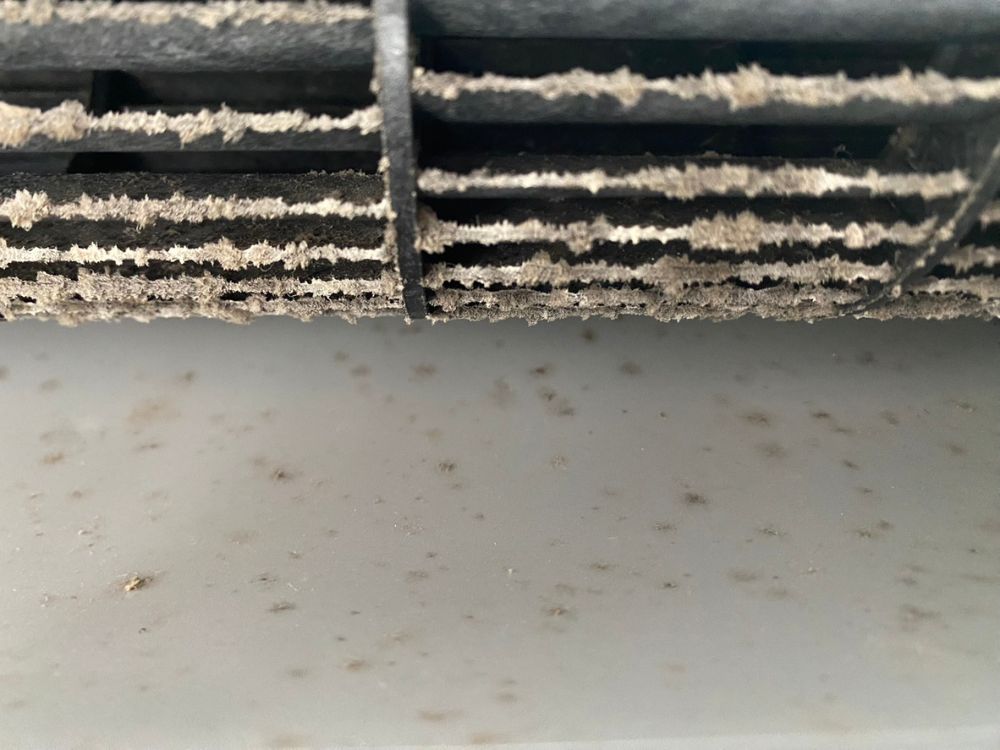 神戸市北区藤原台　通常タイプのエアコンクリーニング｜送風ファンのカビ除去　ビフォー