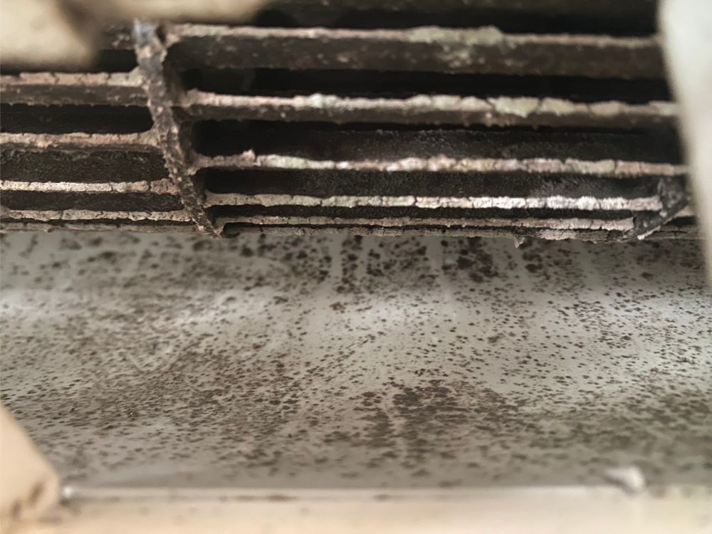 神戸市西区伊川谷町　通常タイプのエアコンクリーニング｜送風口周りに付着したカビ　ビフォー