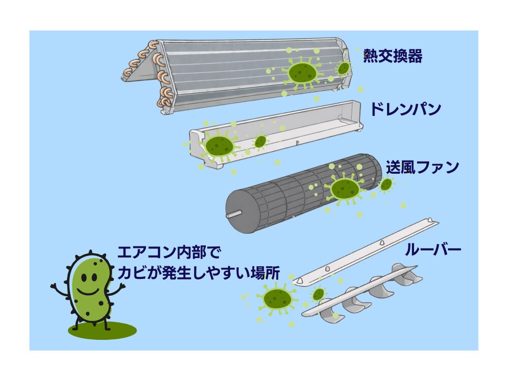 エアコン内部でカビが発生しやすい場所の図