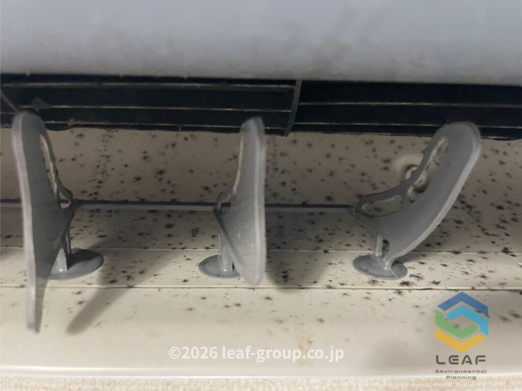 エアコン 吹き出し口 黒カビ