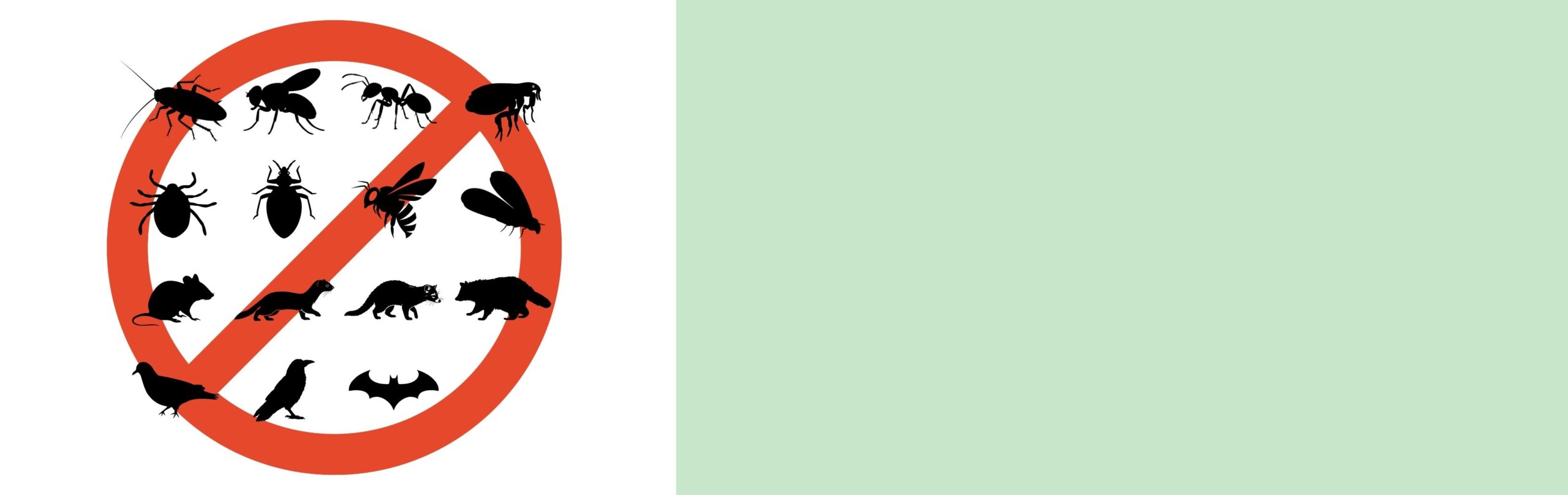 害虫駆除サービスのメインビジュアル