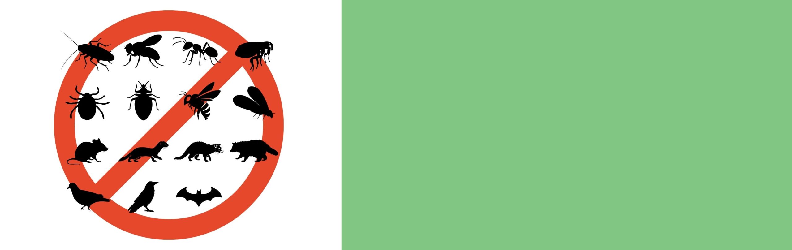 害虫駆除サービスのメインビジュアル