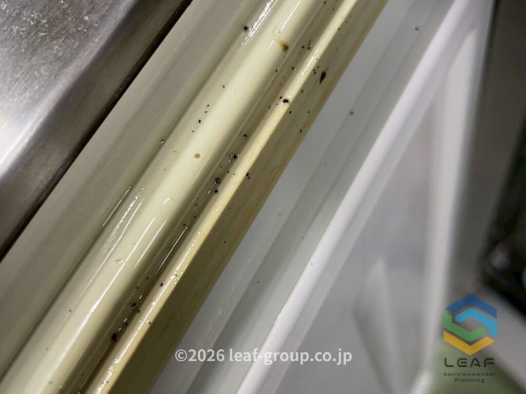 冷蔵庫パッキンに付着したゴキブリのフン