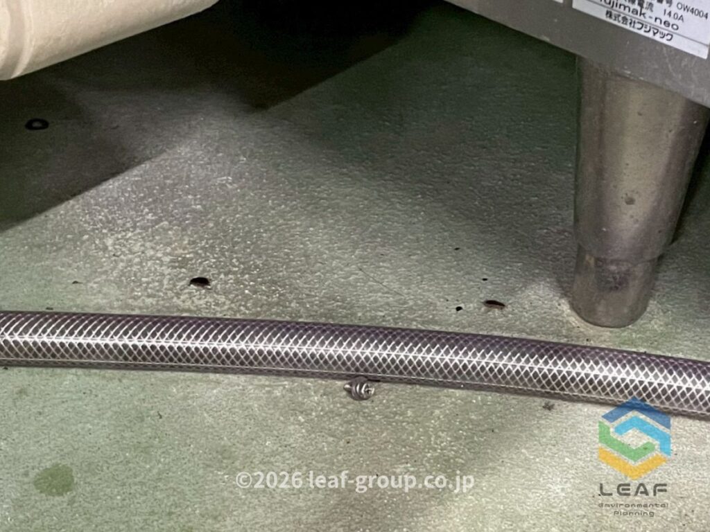 尼崎市飲食店の厨房で発生したチャバネゴキブリ