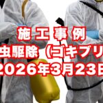 尼崎市の中国料理店で行ったチャバネゴキブリ駆除施工事例｜2026年3月23日