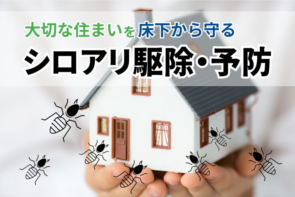 シロアリ駆除予防サービスの詳細はこちら 床下調査から対策まで一括対応