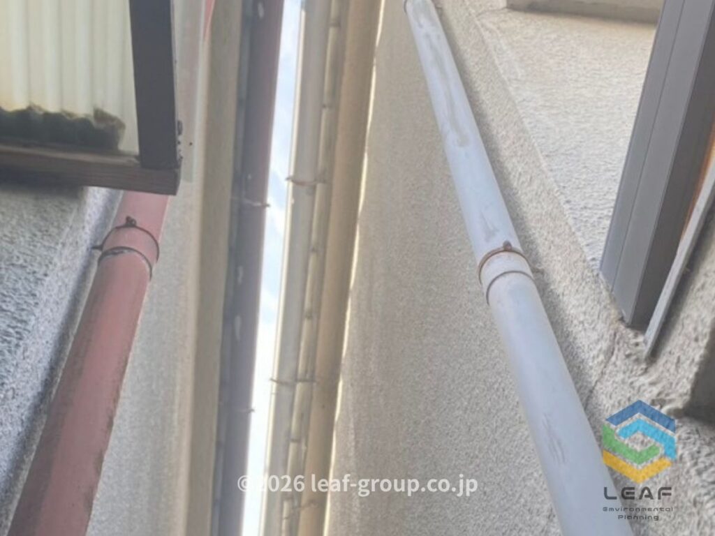 神戸市垂水区 雨どいの蜂の巣撤去後