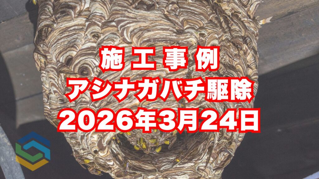 神戸市垂水区の戸建て住宅で行ったアシナガバチ駆除施工事例|2026年3月24日