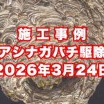 神戸市垂水区の戸建て住宅で行ったアシナガバチ駆除施工事例｜2026年3月24日