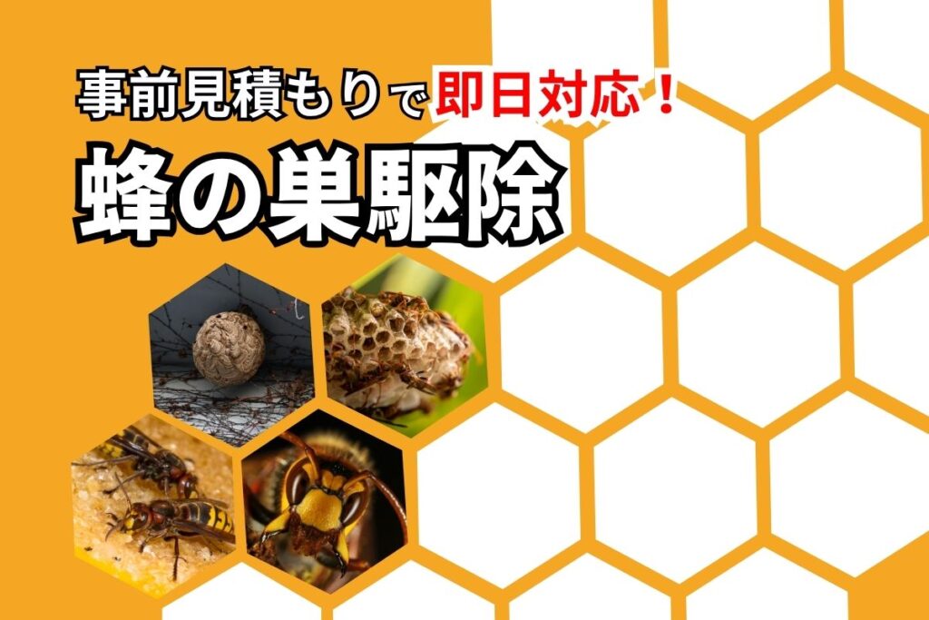 蜂の巣駆除サービスの詳細はこちら 危険な巣を安全迅速に駆除対応