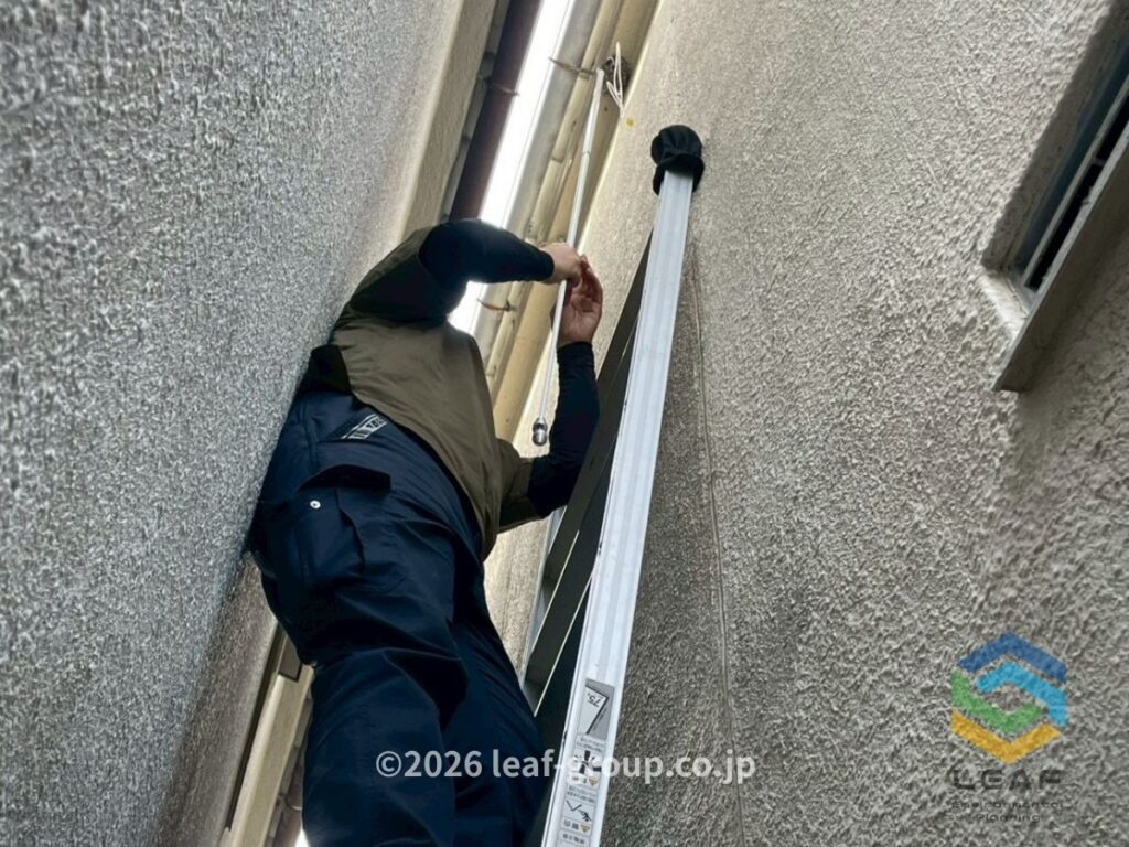 アシナガバチの巣 高所作業 駆除中の様子