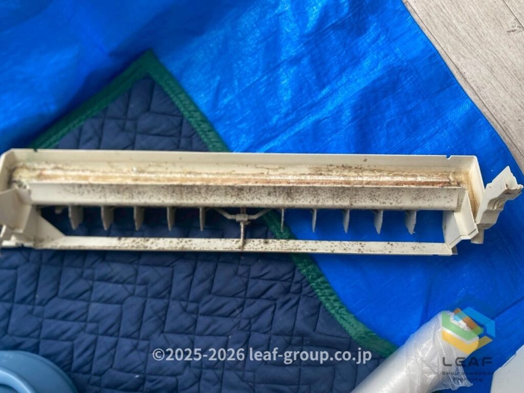 カビが付着したドレンパン