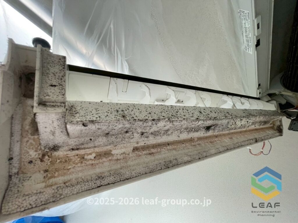 ドレンパン カビ 汚れ