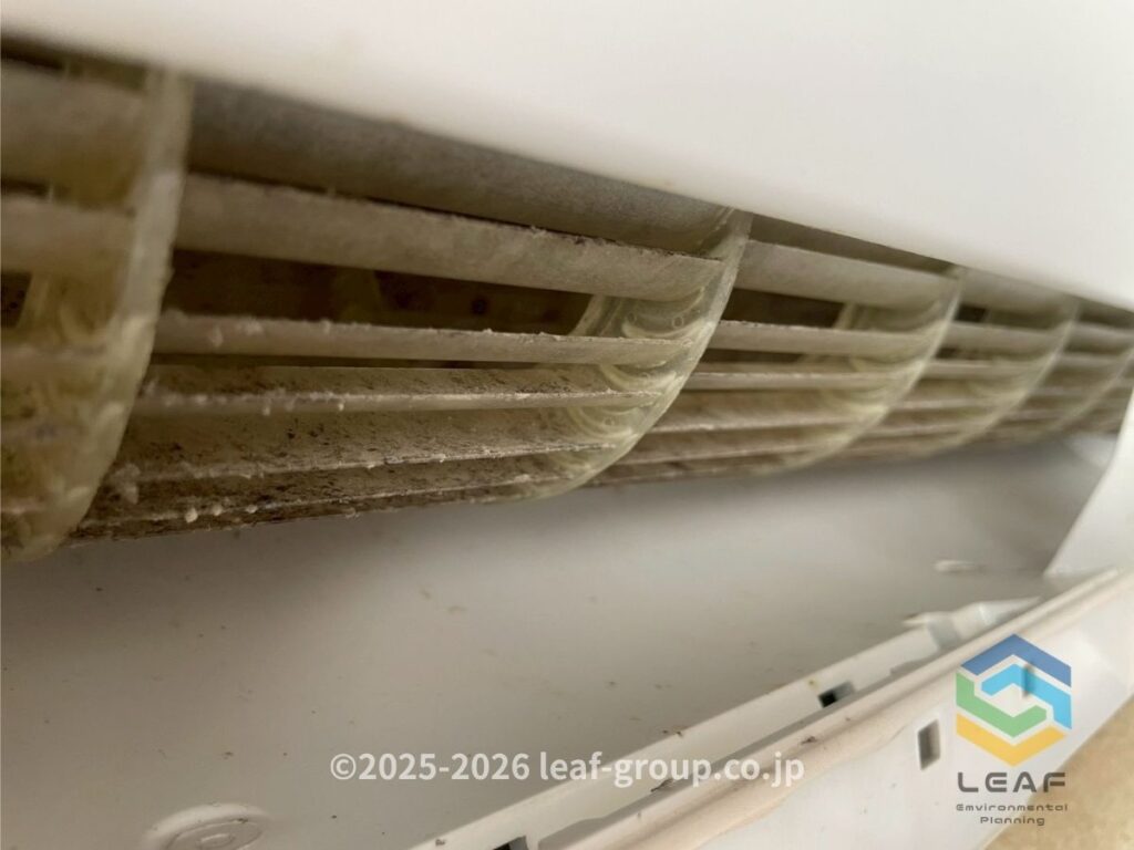 送風ファン カビ