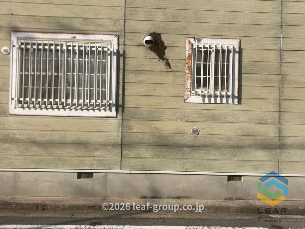 ミツバチ 分蜂 外壁 全体 明石市