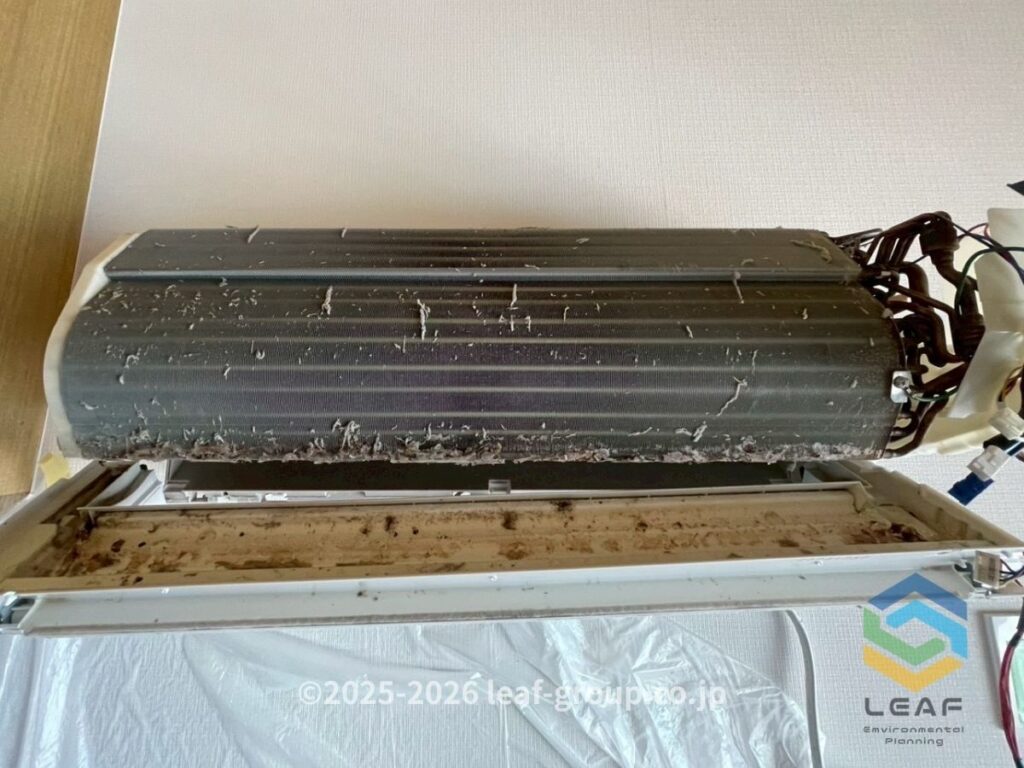 熱交換器とドレンパン 汚れ カビ