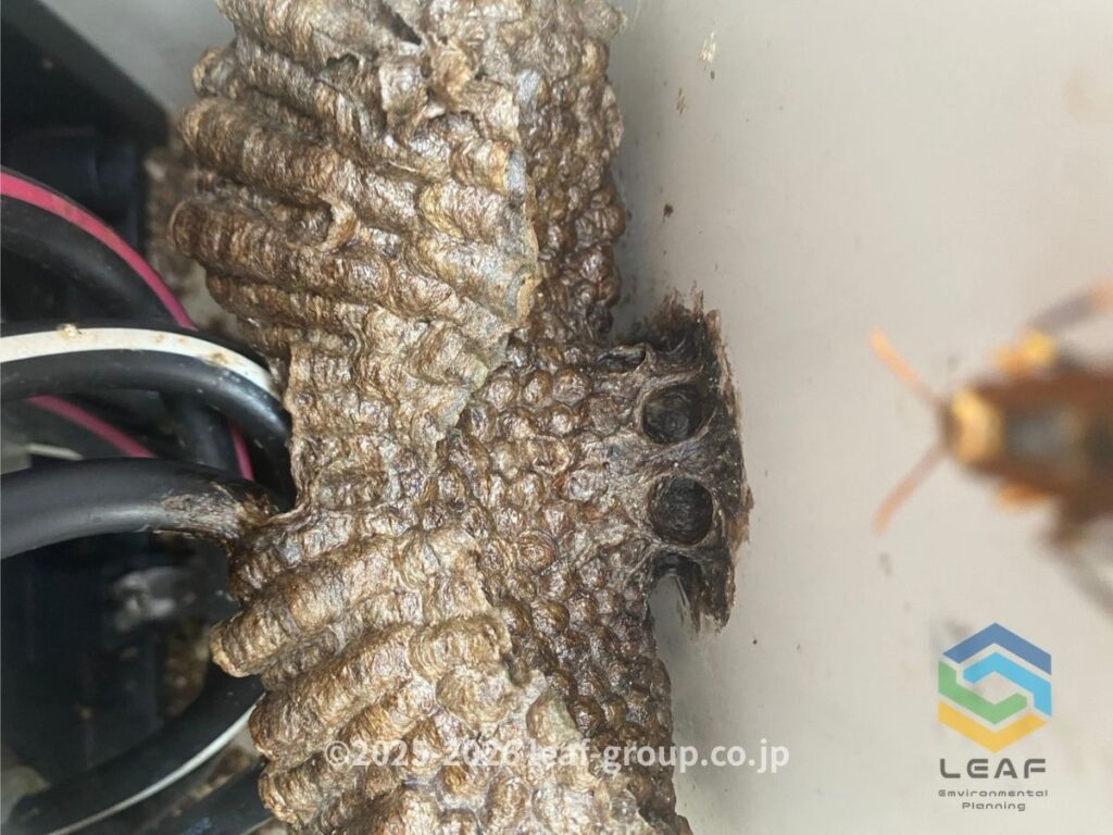 メーターボックス内部 古い巣