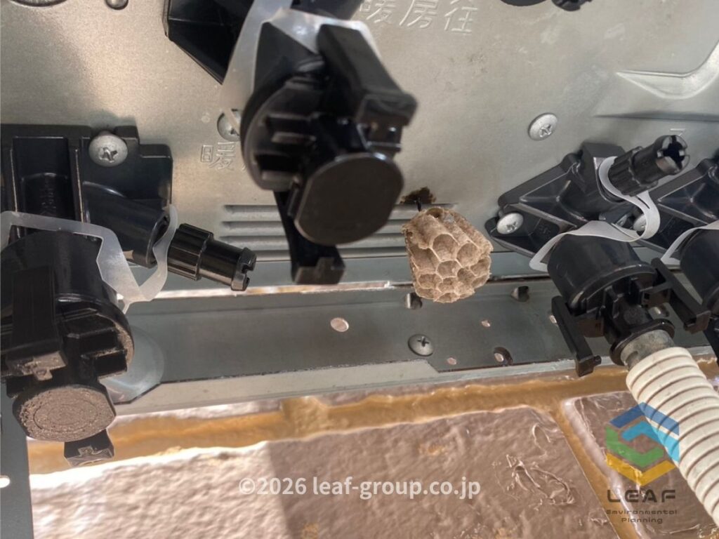 給湯器内 小さな蜂の巣