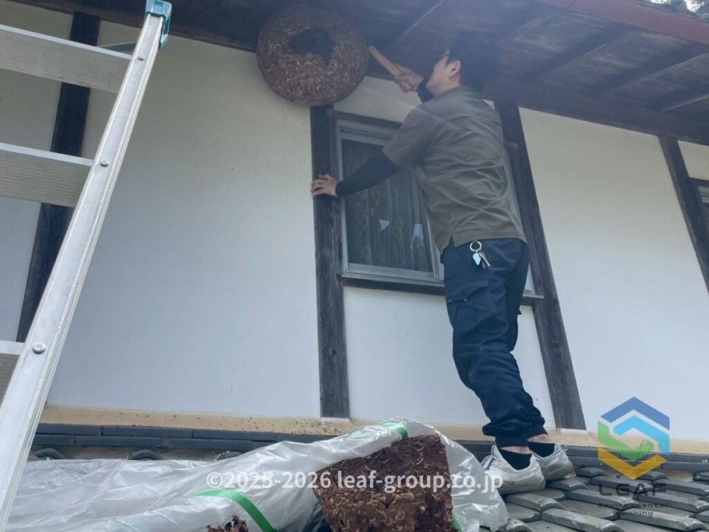 スズメバチ 巣 撤去作業