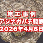 加古川市の戸建て住宅で行ったアシナガバチ駆除施工事例｜2026年4月6日
