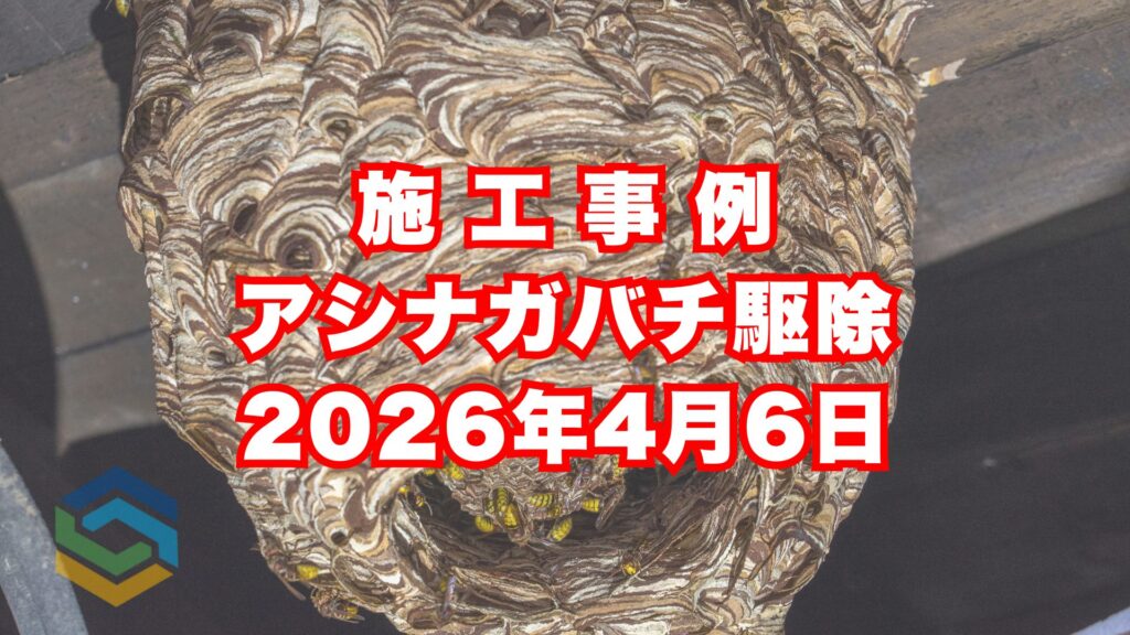 神戸市垂水区の戸建て住宅で行ったアシナガバチ駆除施工事例｜2026年4月6日