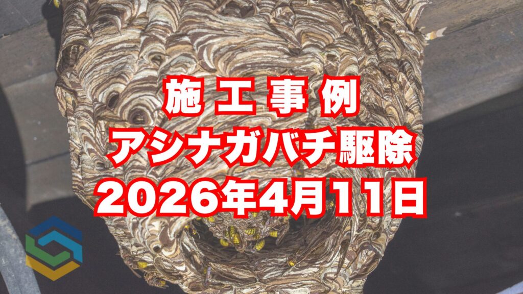 神戸市垂水区の戸建て住宅で行ったアシナガバチ駆除施工事例｜2026年4月11日