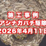 神戸市垂水区の戸建て住宅で行ったアシナガバチ駆除施工事例｜2026年4月11日