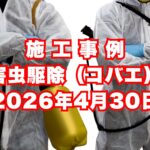 神戸市垂水区で行ったコバエ駆除の施工事例｜2026年4月30日