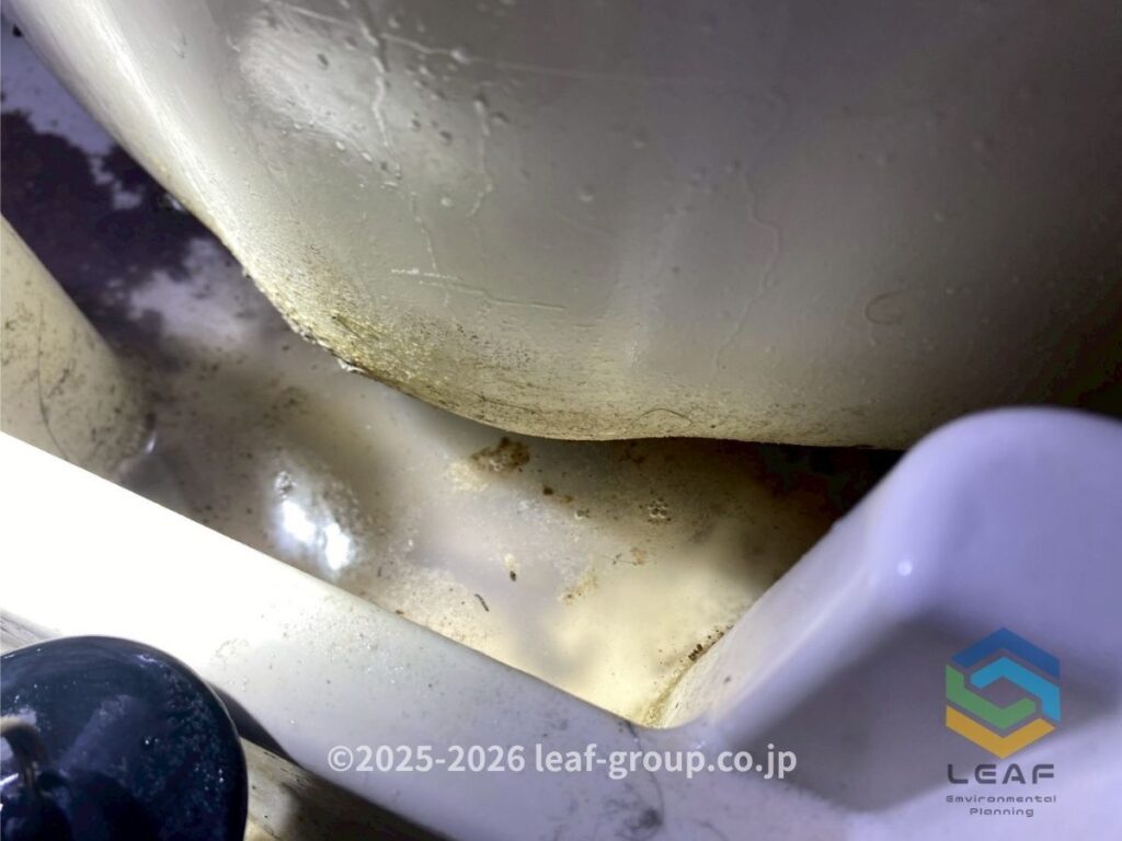 風呂釜内部 汚れ チョウバエ発生源