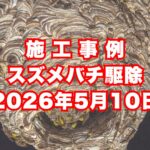 神戸市長田区のマンションで行ったスズメバチ駆除施工事例｜2026年5月10日