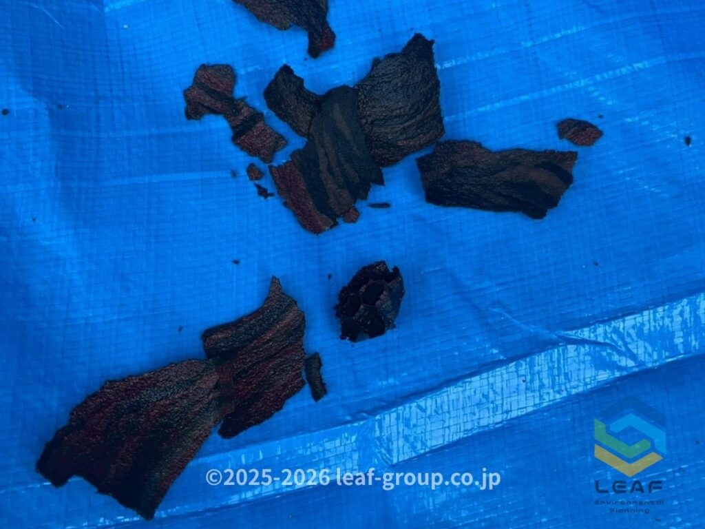 撤去したコガタスズメバチの巣の残骸