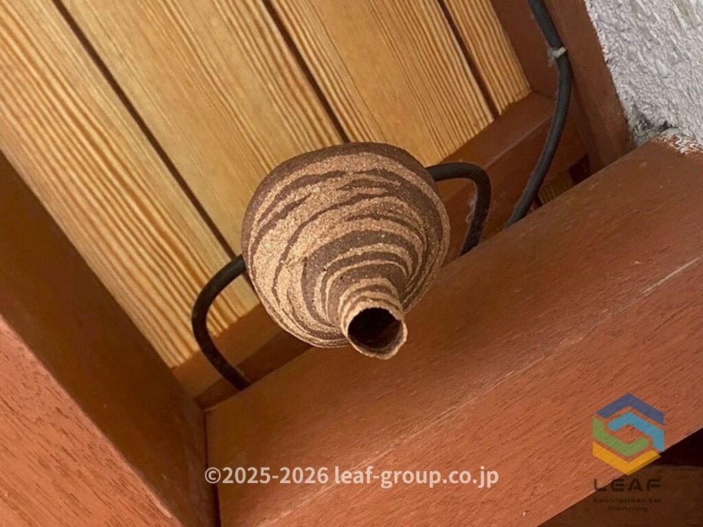 芦屋市南宮町の2階ベランダ軒下に作られたコガタスズメバチの初期巣