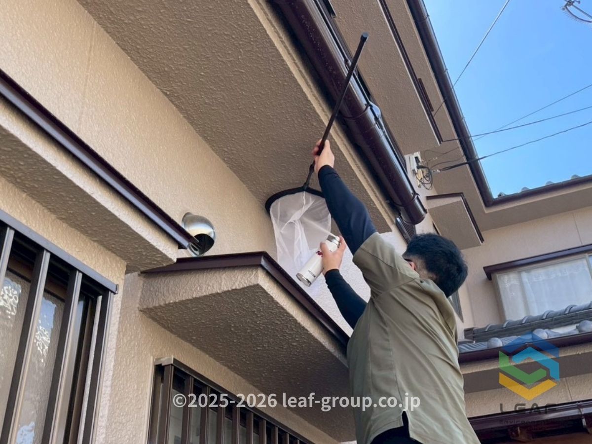 三田市中町｜セグロアシナガバチの巣駆除施工中