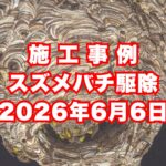 芦屋市の戸建てで行ったスズメバチ駆除施工事例｜2026年6月6日