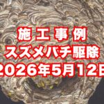 神戸市須磨区の戸建てで行ったスズメバチ駆除施工事例｜2026年5月12日