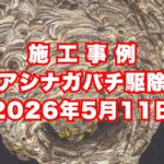三田市の戸建てで行ったアシナガバチ駆除施工事例｜2026年5月11日
