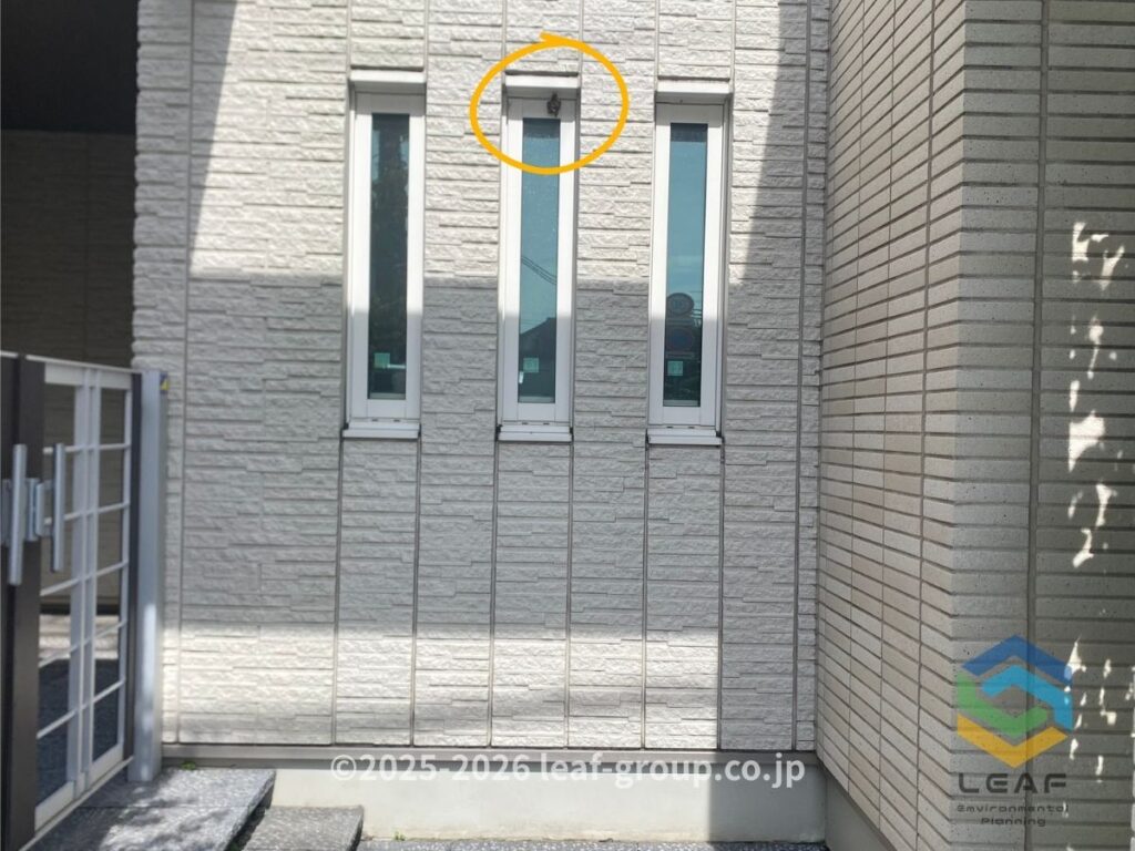 神戸市兵庫区下沢通の窓サッシ上部にできたアシナガバチの巣