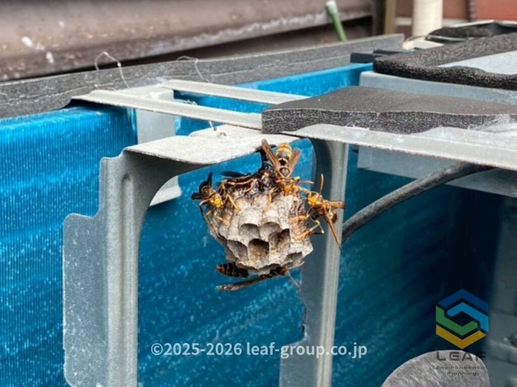 室外機内部に作られたセグロアシナガバチの巣